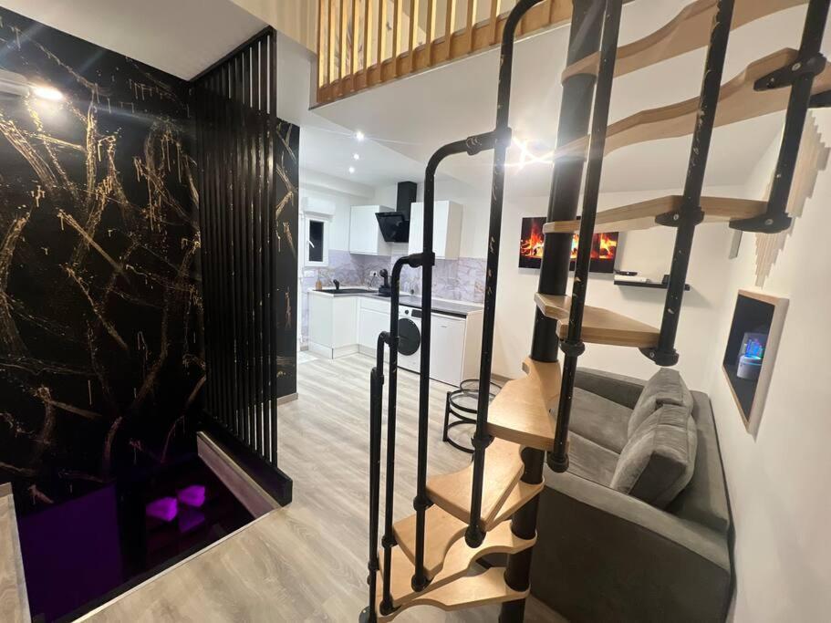 Maison Appartement Triplex Avec Jacuzzi Et Sauna Сент-Етьєн Екстер'єр фото